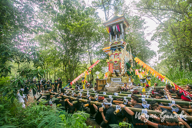 Ngaben Ceremony in Suter Village