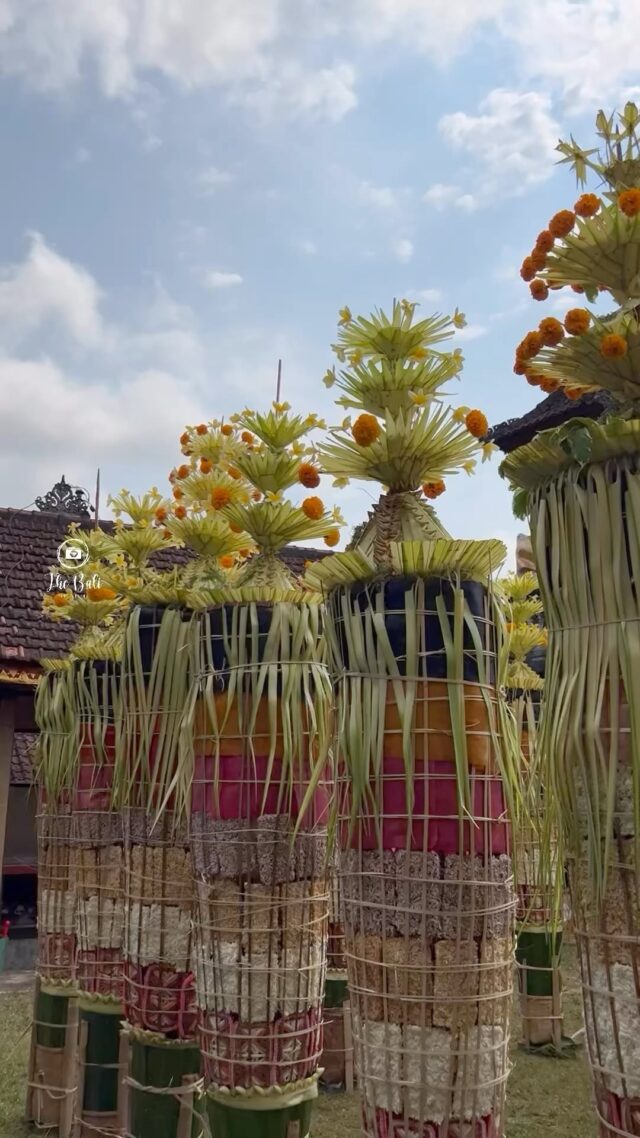 Trip Photo during Usaba Goreng one of the traditions in Iseh, Sidemen - Karangasem Bali.